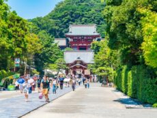 สักการะศาลเจ้า Tsurugaoka Hachimangu ศาลเจ้าเก่าแก่ศักดิ์สิทธิ์แห่ง Kamakura