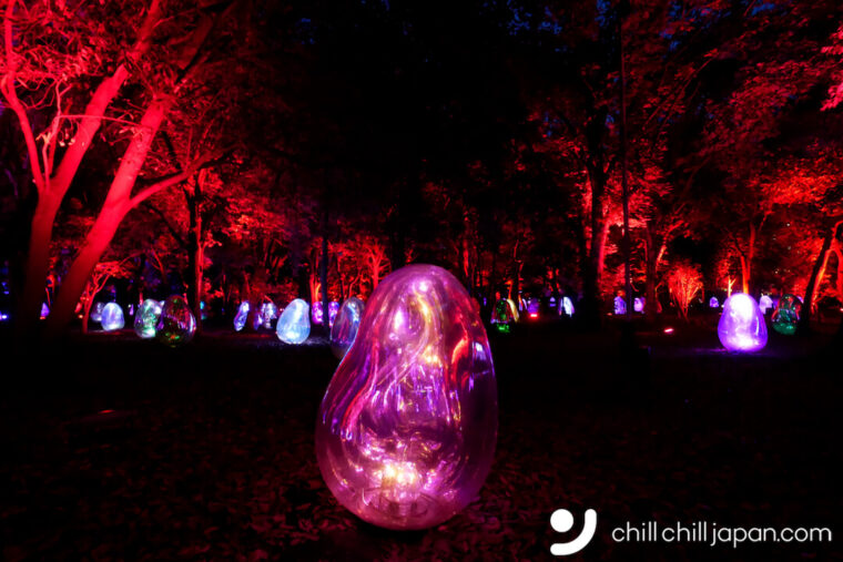 Teamlab Botanical Garden Osaka