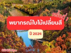 พยากรณ์ช่วงเวลาที่ดีที่สุดในการชมใบไม้เปลี่ยนสี ประจำปี 2024