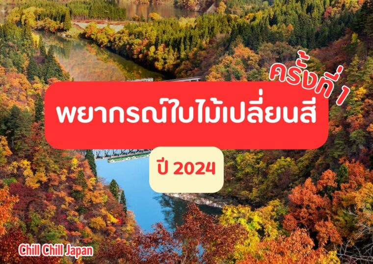 พยากรณ์ช่วงเวลาที่ดีที่สุดในการชมใบไม้เปลี่ยนสี ประจำปี 2024