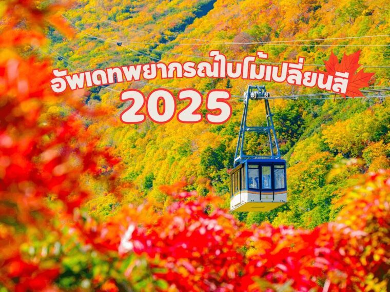 พยากรณ์ช่วงเวลาที่ดีที่สุดในการชมใบไม้เปลี่ยนสี ประจำปี 2025