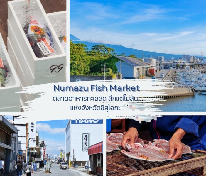 “Numazu Fish Market” ตลาดอาหารทะเลสด ลึกแต่ไม่ลับ แห่งจังหวัดชิสุโอก