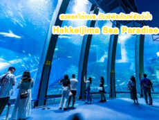 สวรรค์ใต้ทะเล กับพิพิธภัณฑ์สัตว์น้ำ Hakkeijima Sea Paradise