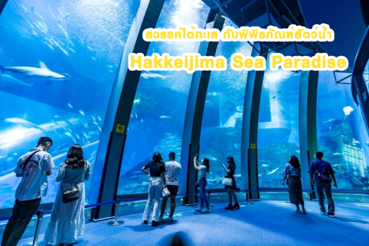 สวรรค์ใต้ทะเล กับพิพิธภัณฑ์สัตว์น้ำ Hakkeijima Sea Paradise