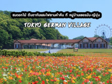 ชมทุ่งดอกไม้ ตื่นตากับแสงไฟยามค่ำคืน ที่ หมู่บ้านเยอรมัน-ญี่ปุ่น Tokyo German Village