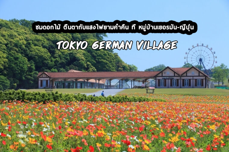 ชมทุ่งดอกไม้ ตื่นตากับแสงไฟยามค่ำคืน ที่ หมู่บ้านเยอรมัน-ญี่ปุ่น Tokyo German Village