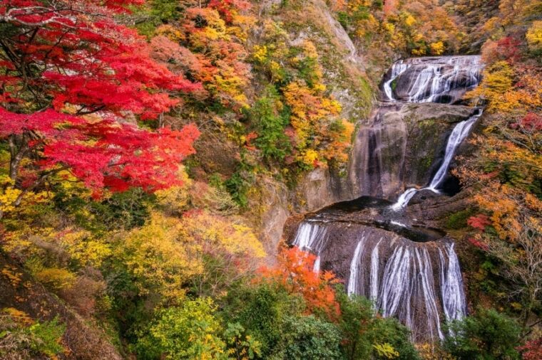 น้ำตกฟุคุโรดะ (Fukuroda Falls) ชมวิวสุดงามทั้ง 4 ฤดู ที่ต้องมาชมให้ได้ซักครั้ง