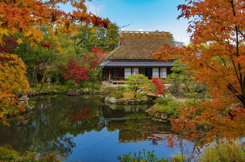 “สวนสาธารณะนารา (Nara Park)” ประสบการณ์ใกล้ชิดน้องกวางแบบสัมผัสได้ ...