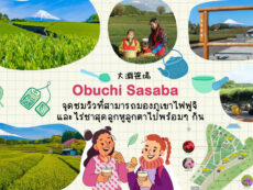 Obuchi Sasaba จุดชมวิวที่สามารถมองภูเขาไฟฟูจิ และไร่ชาสุดลูกหูลูกตาไปพร้อมๆ กัน