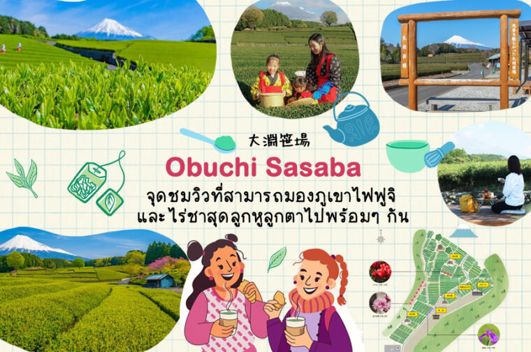 Obuchi Sasaba จุดชมวิวที่สามารถมองภูเขาไฟฟูจิ และไร่ชาสุดลูกหูลูกตาไปพร้อมๆ กัน