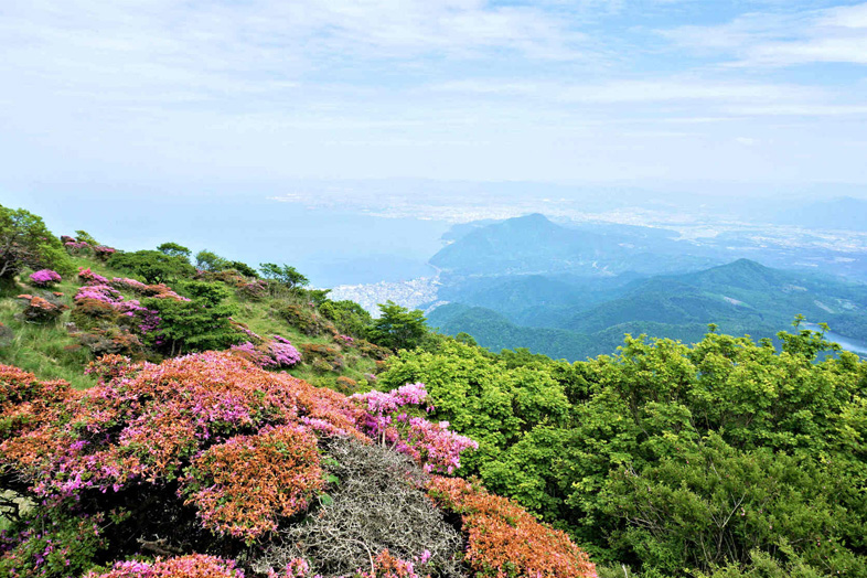Beppu Ropeway เพลิดเพลินไปกับวิวทิวทัศน์แบบพาโนรามาของทั้งสี่ฤดูกาลที่ ...