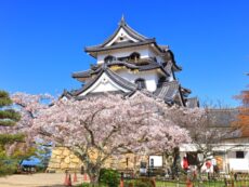 เที่ยวปราสาทเก่าดั้งเดิม ปราสาทฮิโกเนะ ( Hikone Castle ) ส่องชุดเกราะนักรบปีศาจแดง ชมโครงสร้างปราสาท ที่ทุกคนต้องทึ่ง!!!