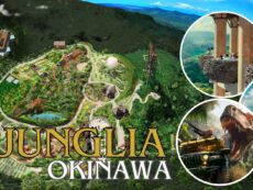 ​JUNGLIA OKINAWA สวนสนุกขนาดใหญ่เปิดใหม่ โอกินาว่า สัมผัสประสบการณ์สุดเร้าใจในธีมไดโนเสาร์ !