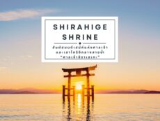 “ศาลเจ้าชิราฮิเกะ (Shirahige Shrine)” สัมผัสมนต์เสน่ห์แห่งศาลเจ้าและเสาโทริอิกลางสายน้ำ