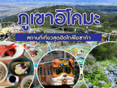 ภูเขาอิโคมะ (Ikoma Mountain) สถานที่เที่ยวสุดฮิตใกล้โอซาก้า เที่ยวครบในวันเดียวแบบไปเช้าเย็นกลับ สนุกกับสวนสนุก เดินชมสวนไฮเดรนเยีย และสักการะวัดเทพแห่งการค้า