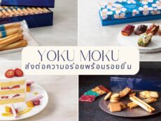 แนะนำขนมญี่ปุ่นชื่อดัง YOKU MOKU (โยคุโมคุ) ของฝากสุดอร่อย ส่งต่อรอยยิ้ม จากทริปญี่ปุ่นของคุณ