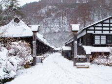 ลมหายใจแห่งธรรมชาติที่ Nyuto Onsen ดินแดนออนเซ็นในหุบเขา