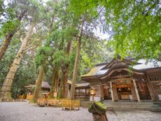 Takachiho Shrine ⛩️ เส้นทางสู่ความศรัทธาและธรรมชาติ