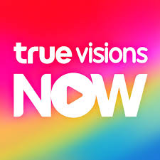 Truevissions