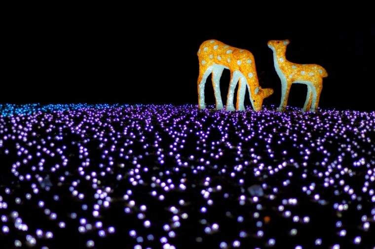 10 จุดถ่ายรูป Illumination คันไซ ที่สาย IG ห้ามพลาด