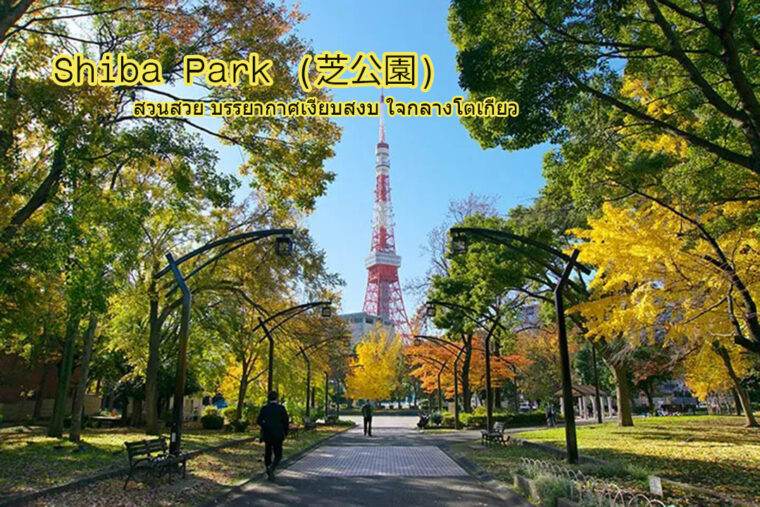 Shiba Park (芝公園) สวนสวย บรรยากาศเงียบสงบ ใจกลางโตเกียว