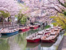 เที่ยวคิวชูครั้งแรก: 7 เมืองต้องไป เที่ยวช้าๆ แบบ Slow Travel