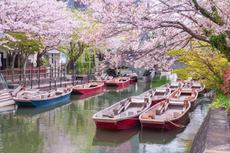 เที่ยวคิวชูครั้งแรก: 7 เมืองต้องไป เที่ยวช้าๆ แบบ Slow Travel
