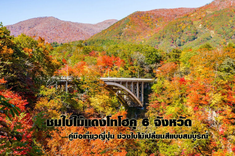 ชมใบไม้แดงโทโฮคุ 6 จังหวัด: คู่มือเที่ยวญี่ปุ่นช่วงใบไม้เปลี่ยนสีแบบสมบูรณ์