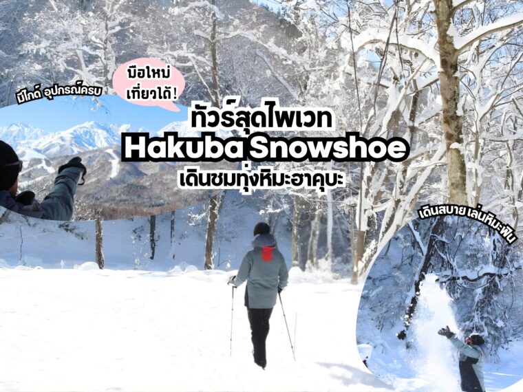 Hakuba Snowshoe เดินชมทุ่งหิมะฮาคุบะแบบไพรเวต ไม่เคยเล่นสกีก็สนุกได้ง่าย มือใหม่สบายใจ !