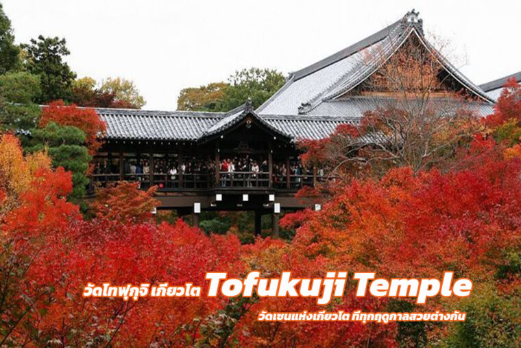 วัดโทฟุกุจิ เกียวโต (Tofukuji Temple) วัดเซนแห่งเกียวโตที่ทุกฤดูกาลสวยต่างกัน