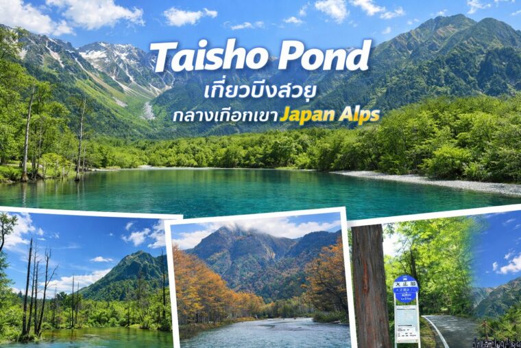 Taisho Pond เที่ยวบึงสวยกลางเทือกเขา Japan Alps