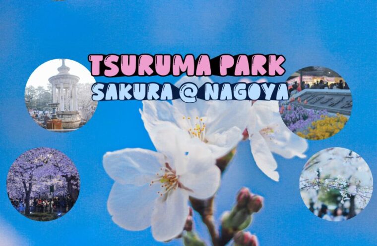 รีวิว สวนสึรุมะ (Tsuruma Park) จุดชมซากุระยอดฮิตใจกลางนาโกย่า เดินทางง่ายใกล้สถานี JR