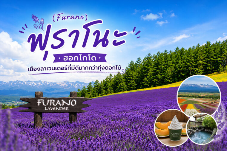 ฟุราโนะ (Furano) ฮอกไกโด เมืองลาเวนเดอร์ที่มีดีมากกว่าทุ่งดอกไม้