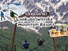 เปิดคู่มือเที่ยว Hakuba Iwatake Mountain Resort จุดเช็กอินวิวหลักล้าน พร้อมกิจกรรมธรรมชาติที่ห้ามพลาดตลอดทั้งปี